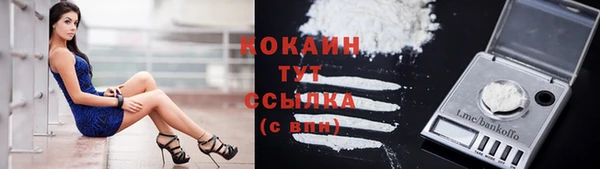 мяу мяу мука Армянск