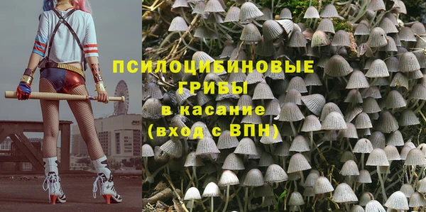 мяу мяу мука Армянск