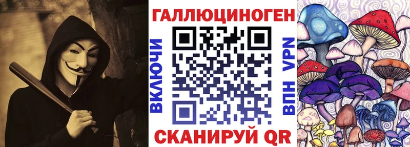 Галлюциногенные грибы Psilocybine cubensis  закладки  Серафимович 